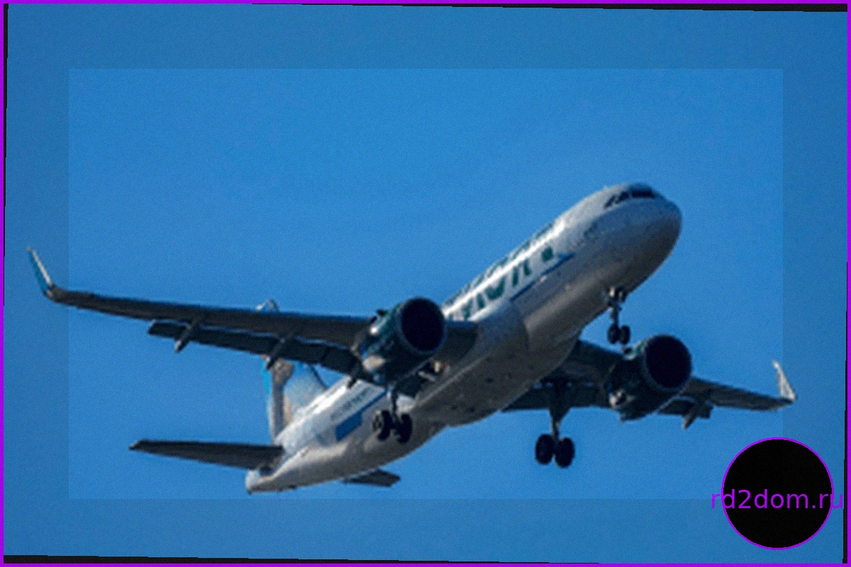 Взлетающий самолет Frontier Airlines сбил пешехода со смертельным исходом в аэропорту Денвера