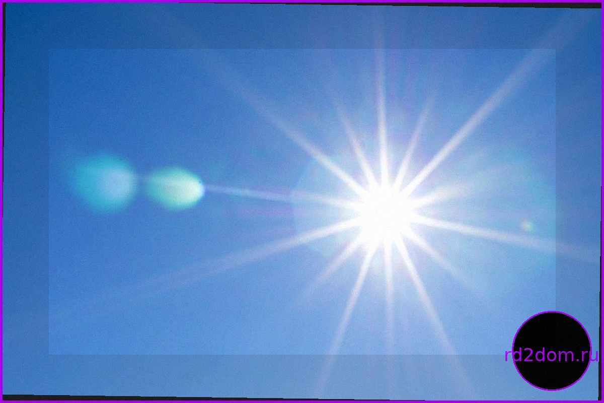 Потепление до +26°C в Москве продлится до середины недели
