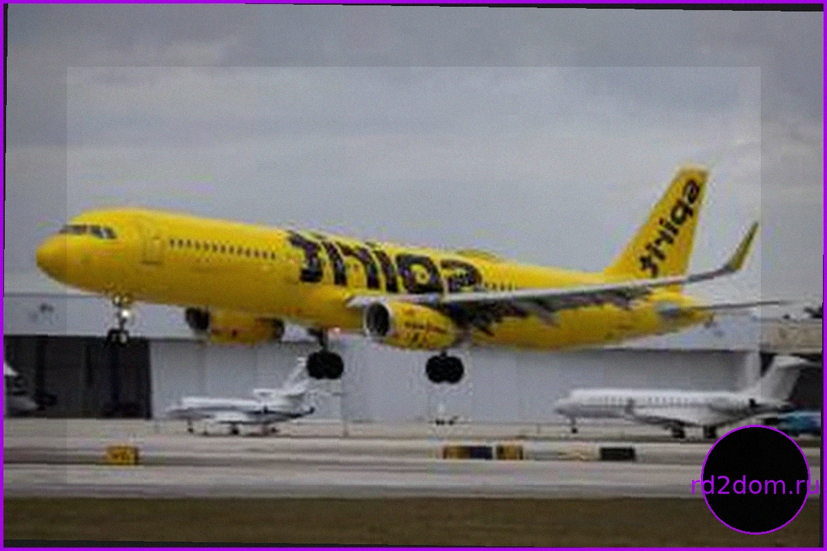 Трамп предлагает финальную сделку для спасения Spirit Airlines, находящейся на грани закрытия