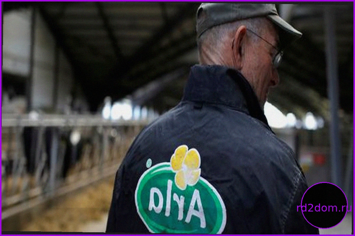 Arla и DMK объединяются, создавая гигантский молочный кооператив