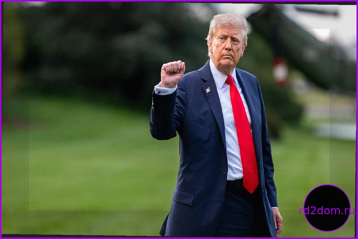 Трамп объявил об успешном прохождении когнитивного теста и заявил о высоком интеллекте