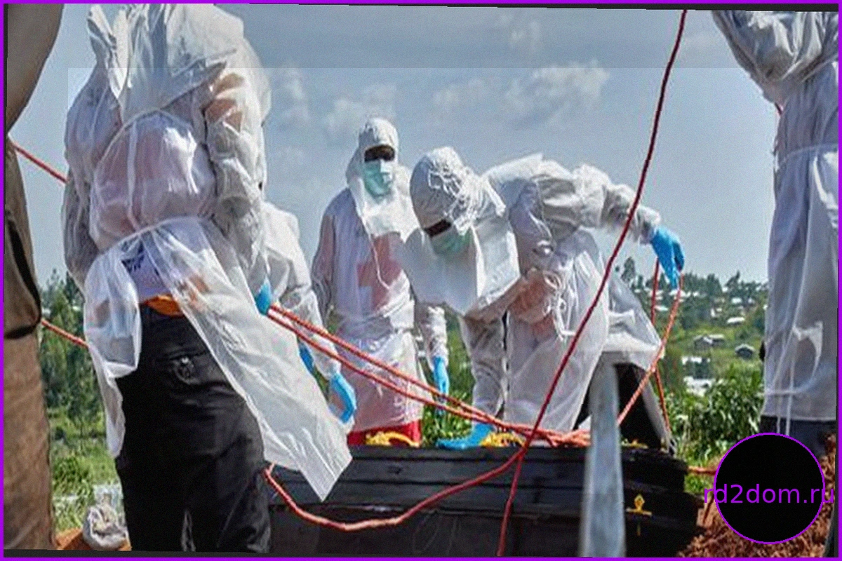 Демократическая Республика Конго: Вспышка Эболы как доказательство незаменимости помощи в развитии