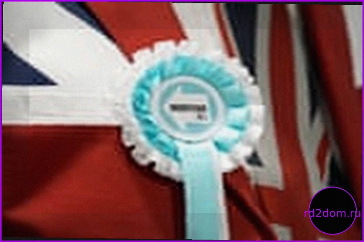 Newly elected Reform councillor resigns after social media claims